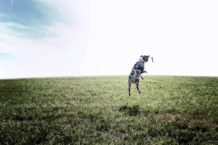 P1040693_Edit_Edit_Edit_Edit_Edit_2